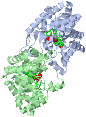 Image Asym./Biol. Unit - sites