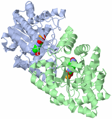 Image Asym./Biol. Unit