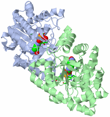 Image Asym./Biol. Unit - sites