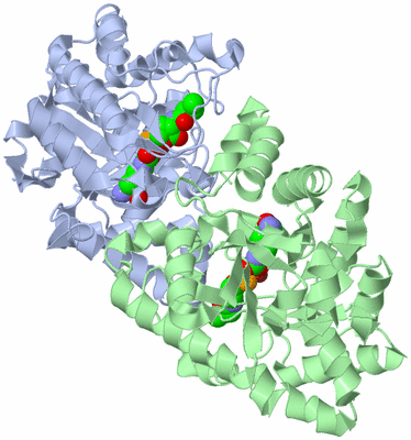 Image Asym./Biol. Unit