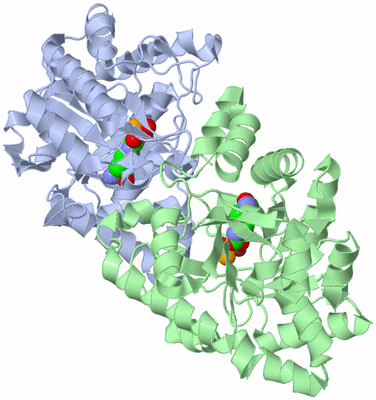 Image Asym./Biol. Unit