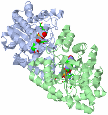 Image Asym./Biol. Unit - sites