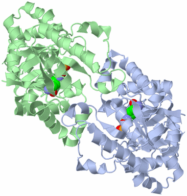 Image Asym./Biol. Unit