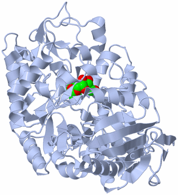 Image Biological Unit 1