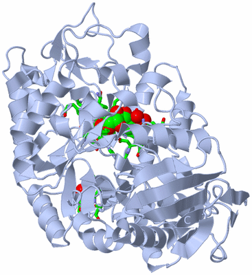 Image Biol. Unit 1 - sites