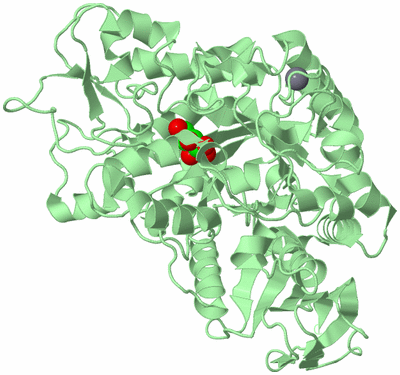 Image Biological Unit 2