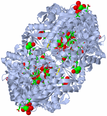 Image Biol. Unit 1 - sites