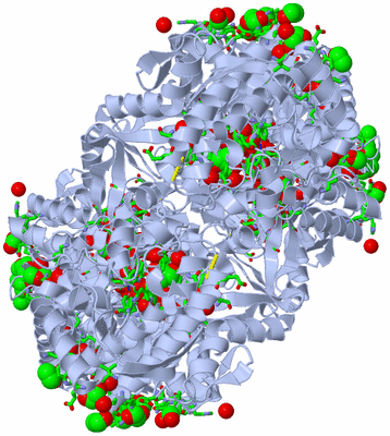 Image Biol. Unit 1 - sites