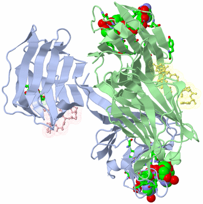 Image Asym./Biol. Unit - sites