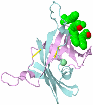 Image Biological Unit 3