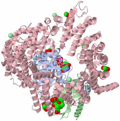 Image Asym./Biol. Unit