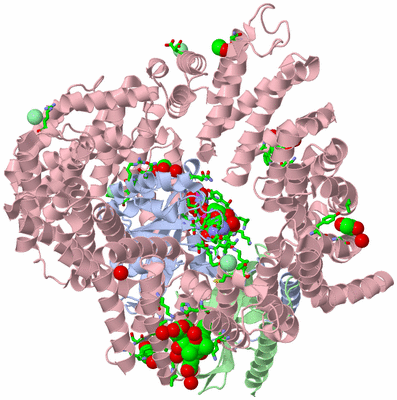 Image Asym./Biol. Unit - sites