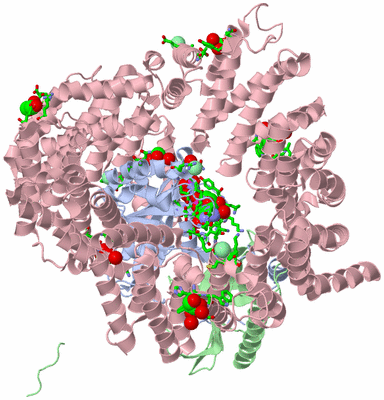 Image Asym./Biol. Unit - sites