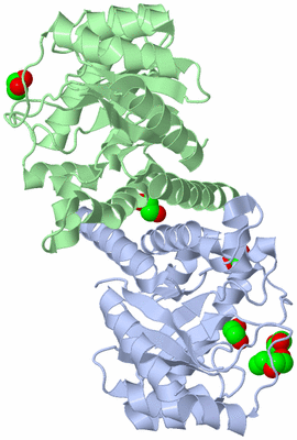 Image Asym./Biol. Unit