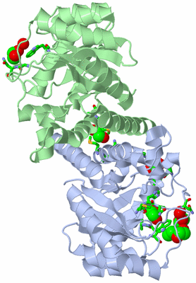 Image Asym./Biol. Unit - sites