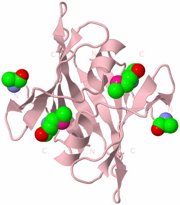 Image Biological Unit 3