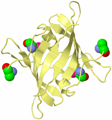 Image Biological Unit 4