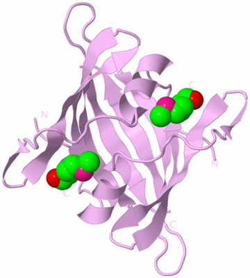 Image Biological Unit 5