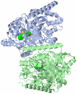 Image Asym./Biol. Unit