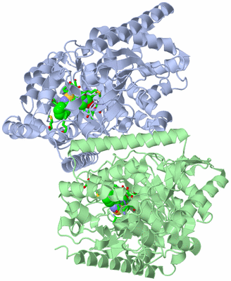 Image Asym./Biol. Unit - sites