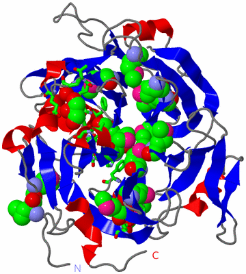 Image Asym./Biol. Unit - sites