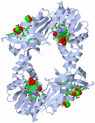 Image Biol. Unit 1 - sites