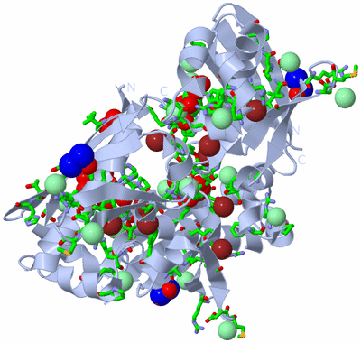 Image Biol. Unit 1 - sites