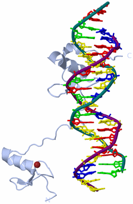 Image Biological Unit 1