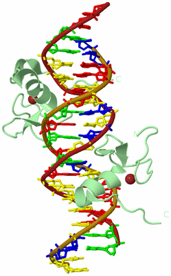 Image Biological Unit 2