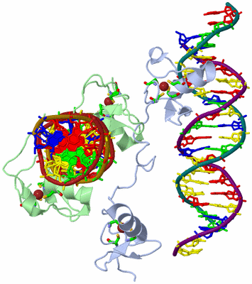 Image Asym. Unit - sites