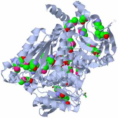 Image Biol. Unit 1 - sites