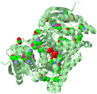 Image Biological Unit 2