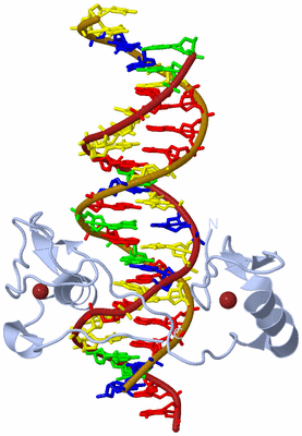 Image Biological Unit 2