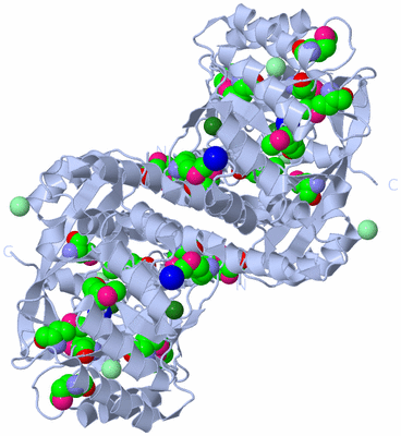 Image Biological Unit 1