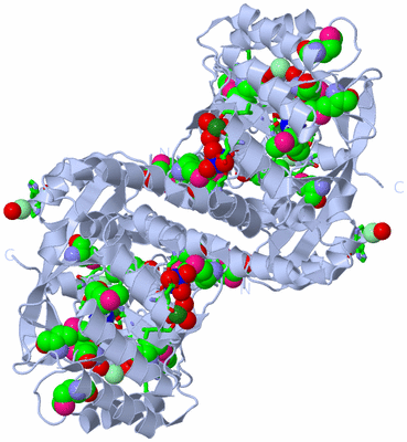 Image Biol. Unit 1 - sites