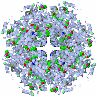 Image Biological Unit 2