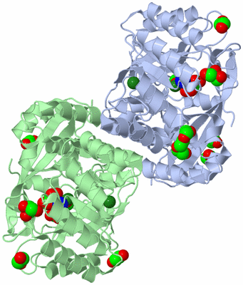 Image Biological Unit 1