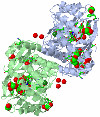 Image Biol. Unit 1 - sites