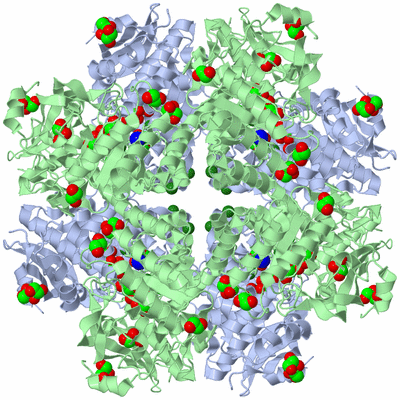 Image Biological Unit 2