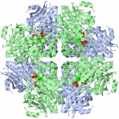 Image Biological Unit 2