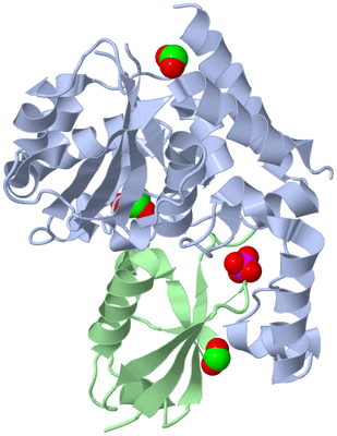 Image Asym./Biol. Unit