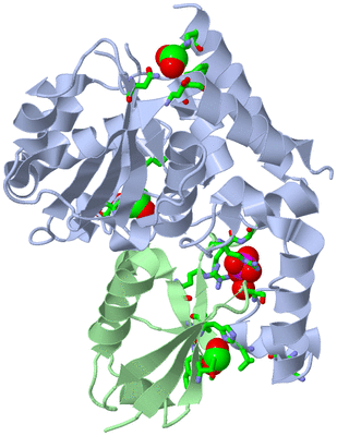 Image Asym./Biol. Unit - sites