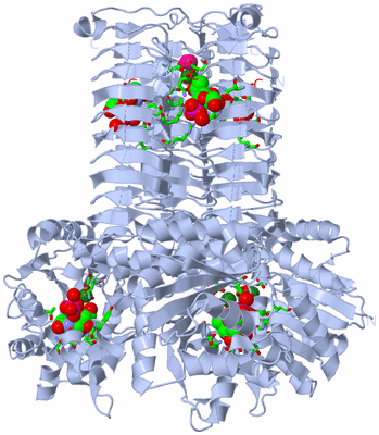 Image Biol. Unit 1 - sites