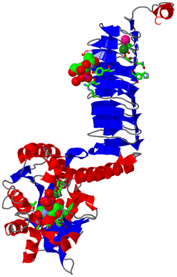 Image Asym. Unit - sites