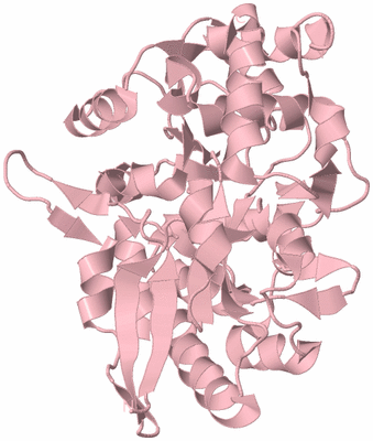 Image Biological Unit 3