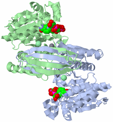 Image Asym./Biol. Unit