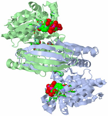 Image Asym./Biol. Unit - sites