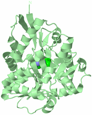 Image Biological Unit 2