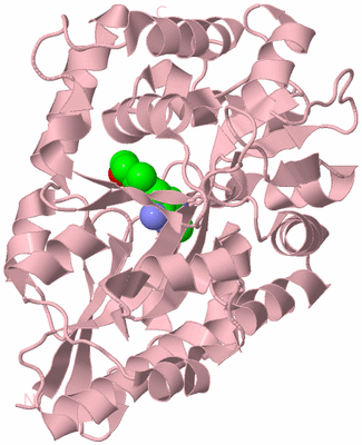 Image Biological Unit 3