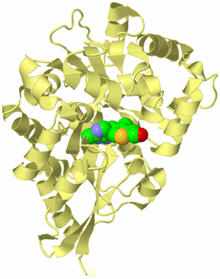 Image Biological Unit 4